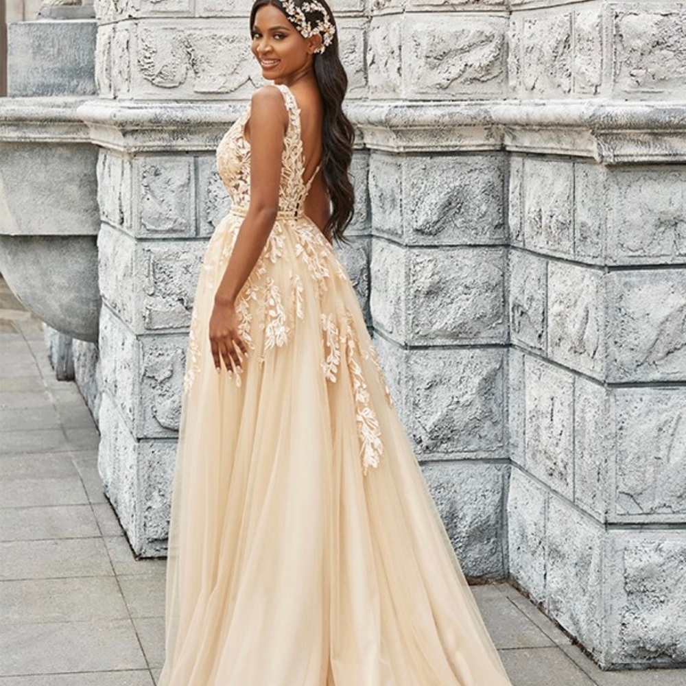 Hebeos wedding dress- brand new w/out tags.
